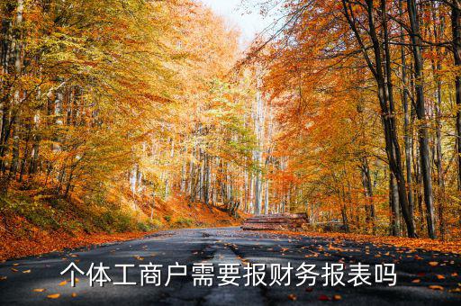 個體戶都需要申報(bào)什么表，個體工商戶需要報(bào)財(cái)務(wù)報(bào)表嗎