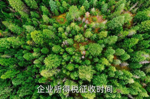 企業(yè)所稅的征收方式什么時(shí)候改，企業(yè)所得稅征收時(shí)間
