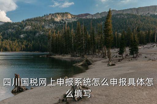 四川國(guó)稅網(wǎng)上申報(bào)系統(tǒng)怎么申報(bào)具體怎么填寫