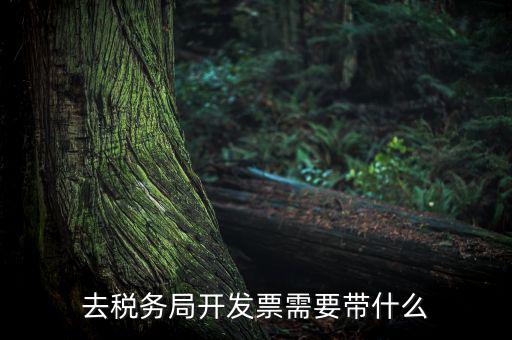 紹興市國稅購增值稅發(fā)票需要帶什么，到稅務(wù)局開增值稅專用發(fā)票帶什么