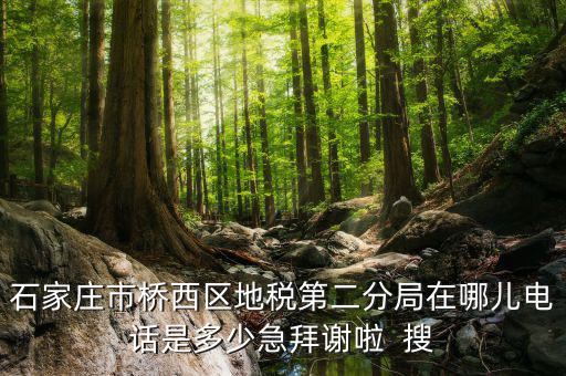 地稅二分局是做什么的，地稅科查局是做什么的