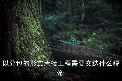工程稅安什么繳，被施工單位土建工程應(yīng)繳納何種稅