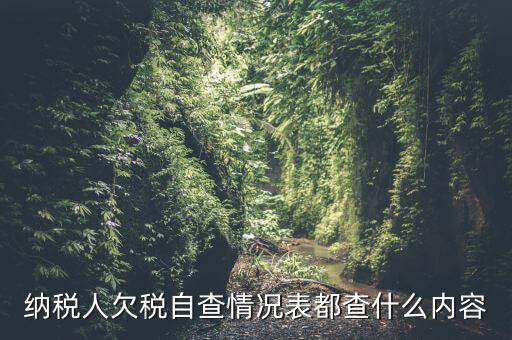 重點納稅人走訪情況表是什么，納稅人自查情況說明表里各項都填什么