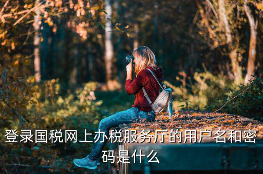 陜西電子稅務(wù)局登錄賬號(hào)是什么，登錄國(guó)稅網(wǎng)上辦稅服務(wù)廳的用戶名和密碼是什么