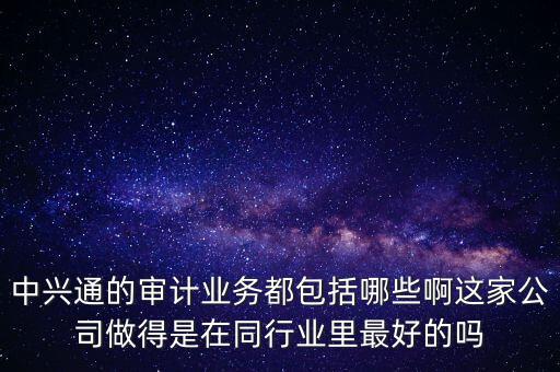 中興通的審計(jì)業(yè)務(wù)都包括哪些啊這家公司做得是在同行業(yè)里最好的嗎