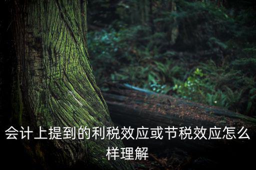 節(jié)稅效應(yīng)是節(jié)的什么稅，什么是節(jié)稅額