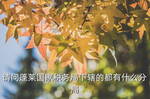 國稅局分局有什么，豐縣國稅局有幾個分局