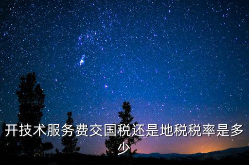 開技術(shù)服務(wù)費(fèi)交國(guó)稅還是地稅稅率是多少