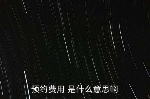 預(yù)約費用 是什么意思啊