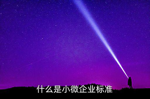 什么是小微企業(yè)標準