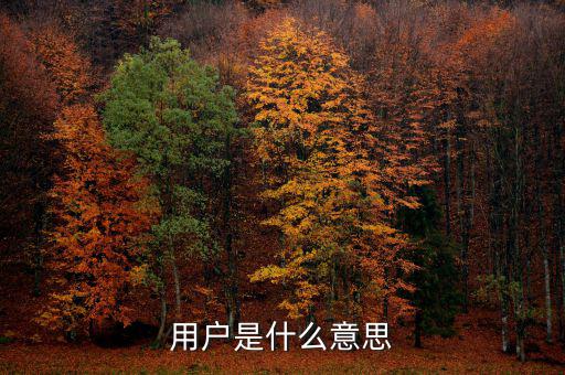 稅局用戶是什么意思，國稅局發(fā)票軟件里用戶代碼和密碼是什么