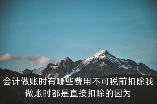 什么不可以稅前扣除嗎，納稅人哪些支出不能在企業(yè)所得稅前扣除