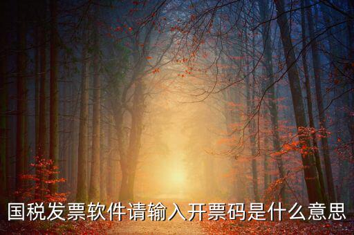 開(kāi)票二維碼是什么軟件，天津國(guó)稅通用機(jī)打發(fā)票二維碼包含的內(nèi)容解碼軟件
