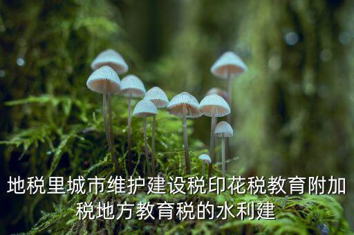 水利建設(shè)基金的計稅基礎(chǔ)是什么，計稅基礎(chǔ)是什么意思
