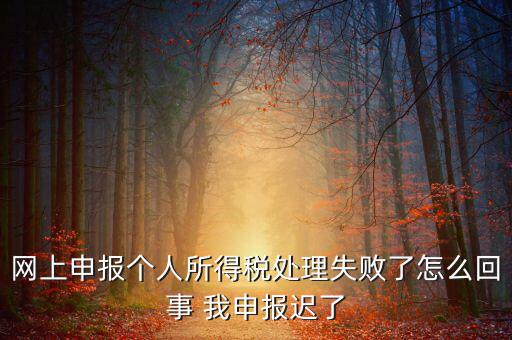 稅款處理失敗什么意思，扣繳稅款失敗提示銀財通處理失敗FAPP00444要怎樣處理才可以扣款
