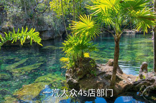 宋蘭去什么部門了，國家稅務(wù)總局的副局長宋蘭身體很豐滿