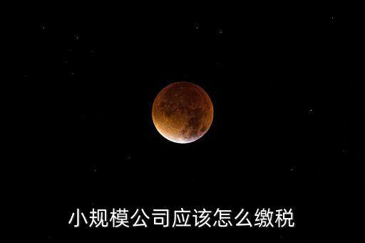 小規(guī)模公司按什么交稅嗎，一個(gè)小規(guī)模納稅公司國(guó)稅和地稅應(yīng)該都分別交什么稅