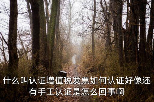 什么叫發(fā)票認(rèn)證，什么叫認(rèn)證增值稅發(fā)票如何認(rèn)證好像還有手工認(rèn)證是怎么回事啊