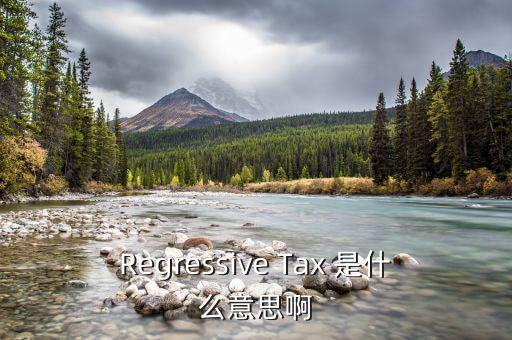 什么是稅收穿透，passthrough taxation是什么意思是直接繳稅嘛