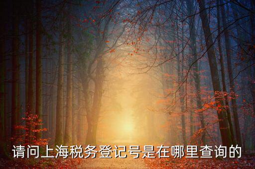 上海的稅務(wù)賬號是什么，請問上海稅務(wù)登記號是在哪里查詢的