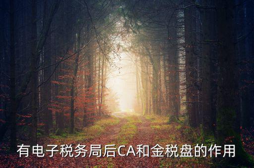 電子稅務(wù)局有什么用，有電子稅務(wù)局后CA和金稅盤的作用