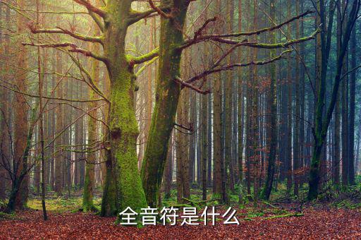 一戶式是什么，服裝SKU是指什么有什么實際應用意義