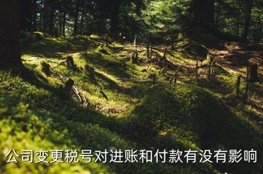 換稅號(hào)注意什么，公司變更稅號(hào)對(duì)進(jìn)賬和付款有沒有影響