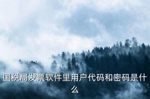 網(wǎng)上認(rèn)證發(fā)票平臺(tái)密碼是什么樣的，國稅局發(fā)票軟件里用戶代碼和密碼是什么