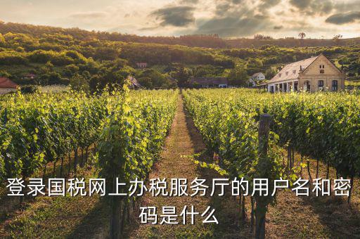 登錄國(guó)稅網(wǎng)上辦稅服務(wù)廳的用戶(hù)名和密碼是什么