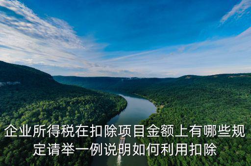 扣除項目金額是什么，應(yīng)稅服務(wù)扣除項目清單中允許扣除項目金額指的是什么是總