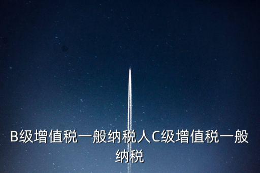 納稅用戶c級(jí)企業(yè)是什么意思，B級(jí)增值稅一般納稅人C級(jí)增值稅一般納稅
