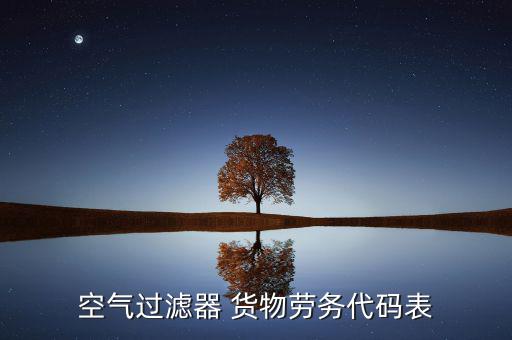 空氣過濾器 貨物勞務代碼表