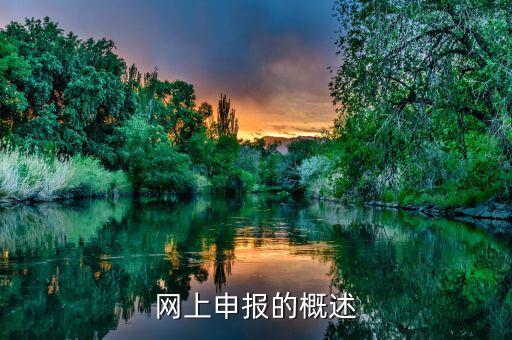 網(wǎng)上申報(bào)什么意思，網(wǎng)上申報(bào)是什么意思