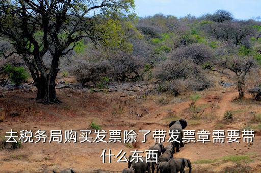 購(gòu)發(fā)票需要什么資料，個(gè)人購(gòu)物開(kāi)增值稅普通發(fā)票需要什么資料
