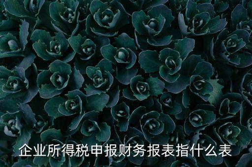 千戶集團(tuán)財務(wù)報表申報是什么，2015年度財務(wù)報表和申報表指的是啥