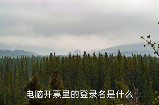 電子稅務(wù)局登錄賬號是什么意思，企業(yè)金稅盤系統(tǒng)用來開票抄稅報稅用那登錄國稅地稅局網(wǎng)站是干嘛的