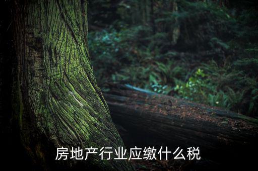 房地產(chǎn)企業(yè)要交什么稅，房地產(chǎn)行業(yè)應(yīng)繳什么稅