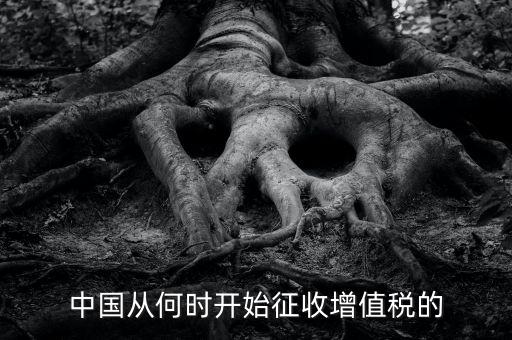 什么時候征收增值稅，批發(fā)零售業(yè)增值稅征收率什么時間開始為3