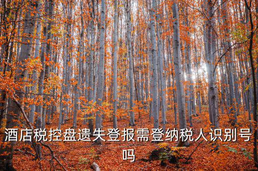 酒店稅控盤遺失登報(bào)需登納稅人識別號嗎