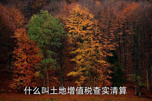 土地增值稅為什么清算，土地增值稅清算