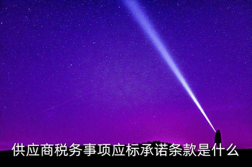 供應商稅務事項應標承諾條款是什么