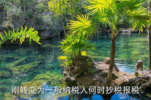 什么時(shí)候抄報(bào)稅，什么時(shí)候去國(guó)稅局抄稅