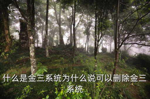 國稅金三系統(tǒng)是什么，什么是金三系統(tǒng)為什么說可以刪除金三系統(tǒng)