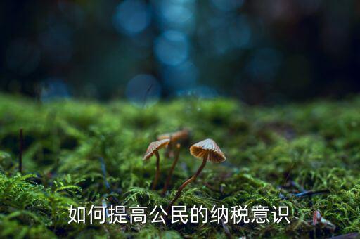 什么是納稅漫畫宣傳，魁拔第一部的投入官方說是3500萬一部動漫為什么投資那么大都花