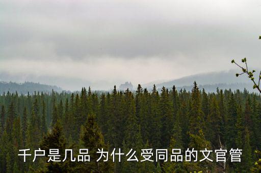 什么千戶集團(tuán)，千戶是什么意思