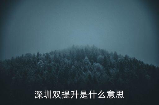兩手抓兩提升是什么意思，中央提出的兩手抓是什么
