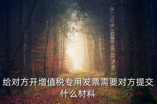 開專票要什么資料，加油卡開增值稅專用發(fā)票需要什么資料