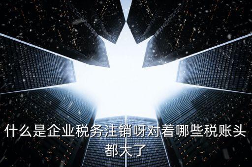 什么是錯(cuò)峰預(yù)約辦稅，網(wǎng)上辦稅系統(tǒng)納稅人未開通使用此介入軟件是什么意思