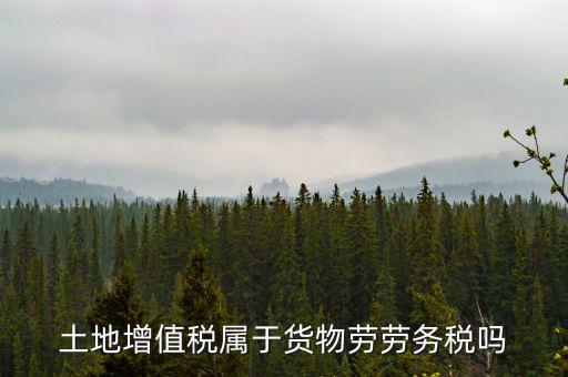 土地增值稅屬于什么稅種，土地增值稅是什么