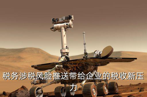 什么是稅務(wù)風(fēng)險推送，什么就稅物風(fēng)險
